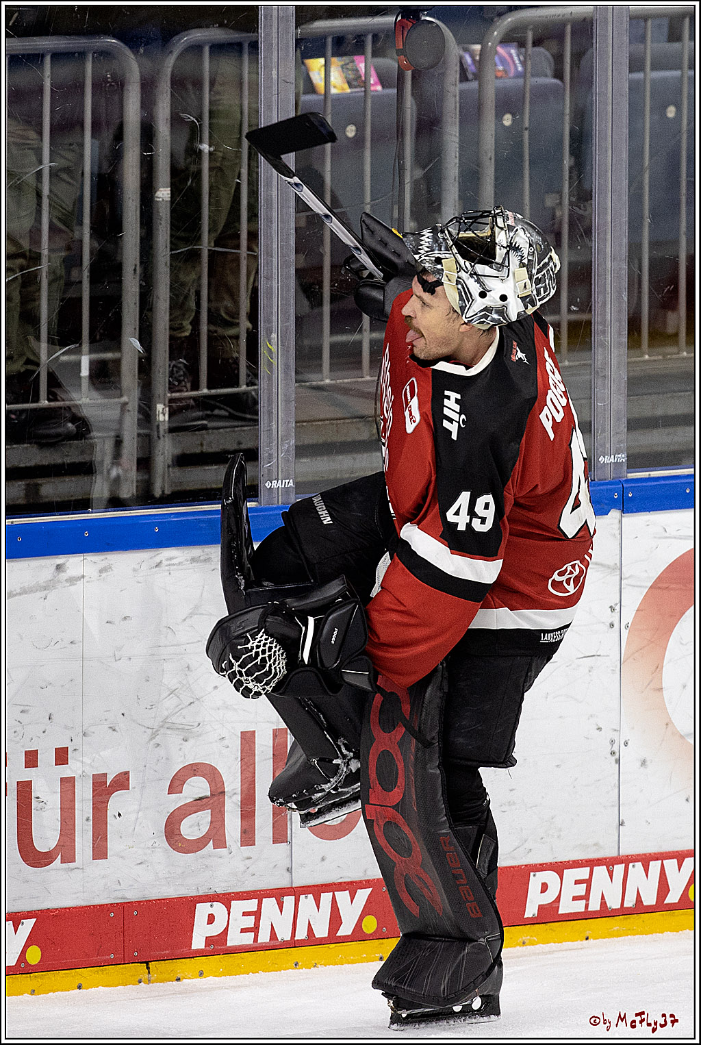 PENNY DEL;  Koelner Haie - Nuernberg Ice Tigers; Koeln, 03.12.2021